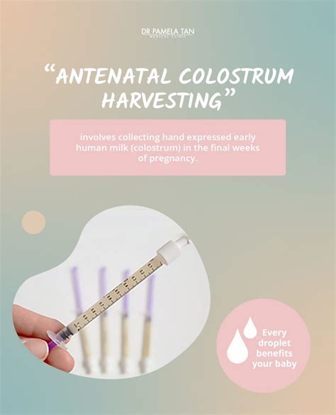 when does colostrum start leaking|Colostrum: Prenatal /Antenatal Expression